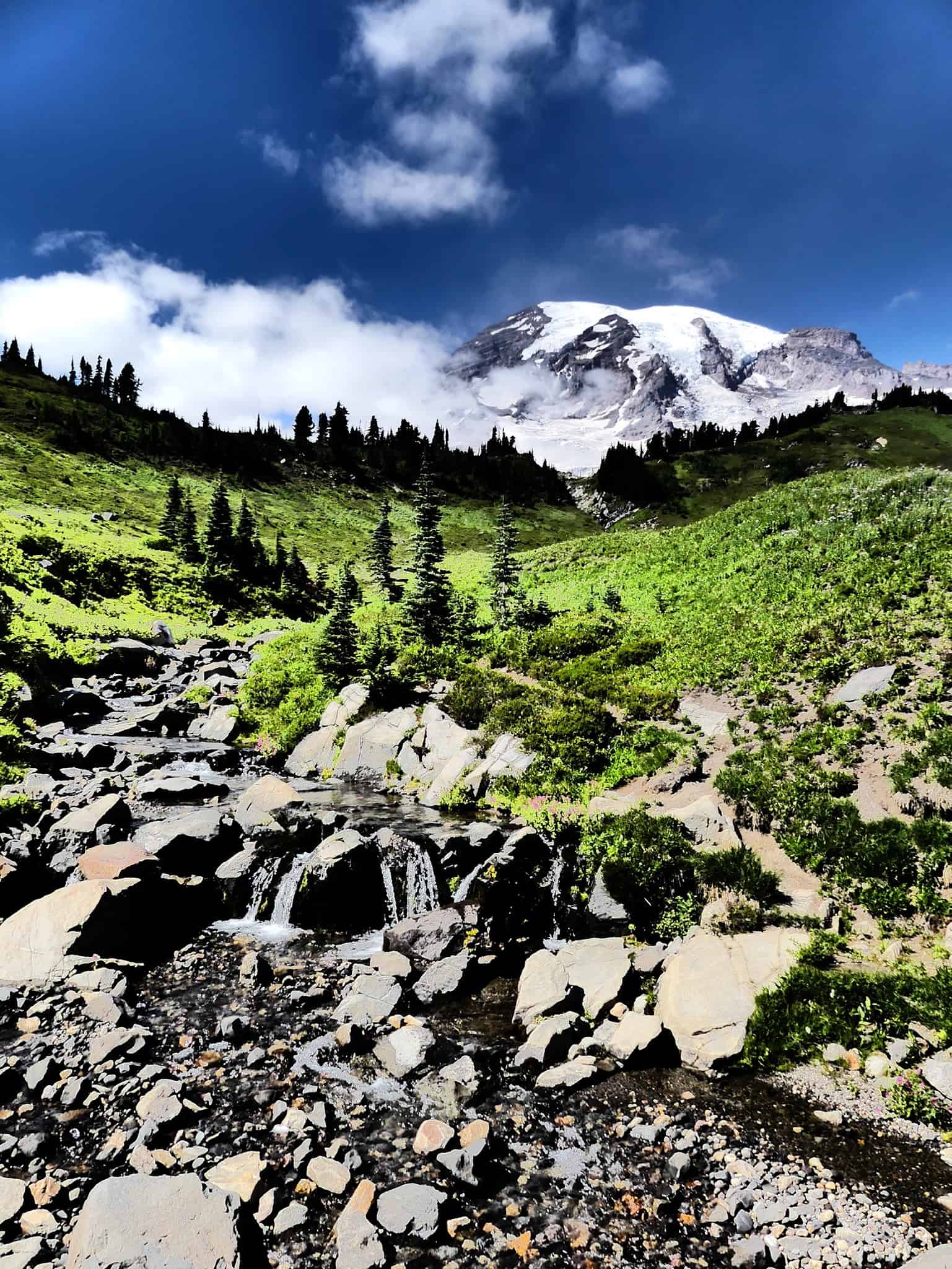 Pacific Northwest Outdoor Adventures: Discover the Best Hikes, Campsites, and Scenic Spots!